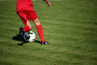 国脚待遇结构调整引导更多球员留在国内发展，国家队国脚